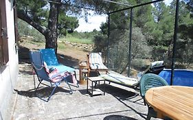 Mazet pleine nature